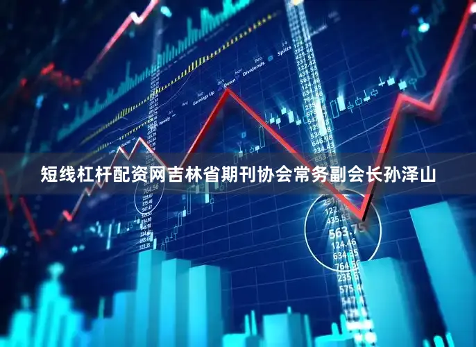 短线杠杆配资网吉林省期刊协会常务副会长孙泽山